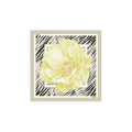Liu Jo - Liu Jo Scarf for Women