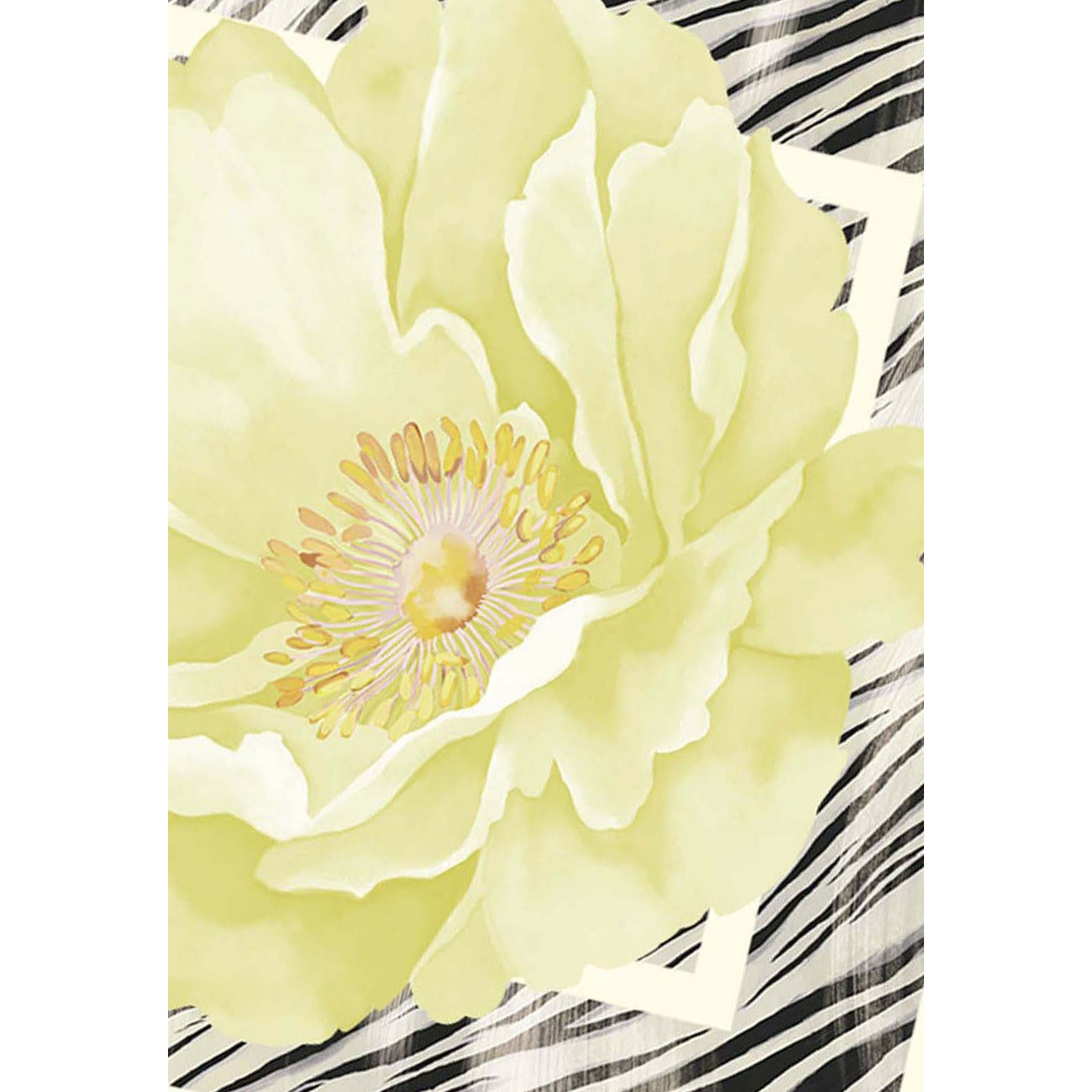 Liu Jo - Liu Jo Scarf for Women